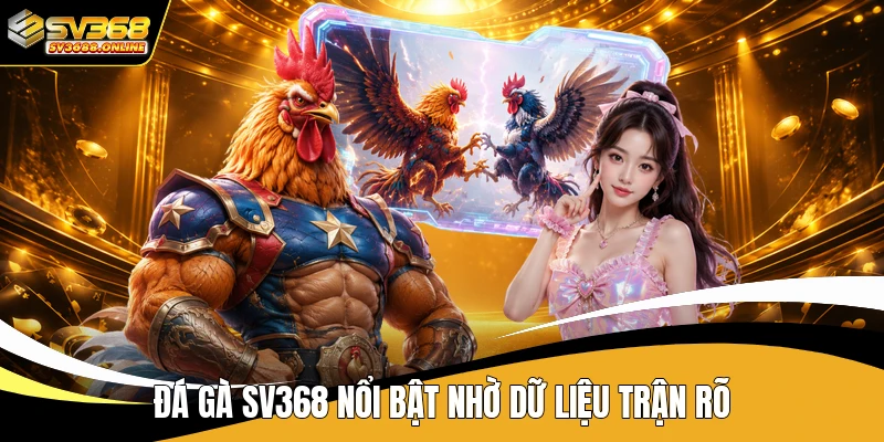 Đá gà SV368 nổi bật nhờ dữ liệu trận rõ