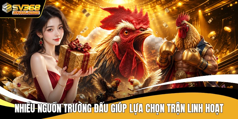 Nhiều nguồn trường đấu giúp lựa chọn trận linh hoạt